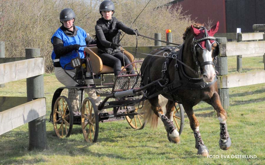 om-ester Ester Fagerlind, Talyllyn Abel RWC7